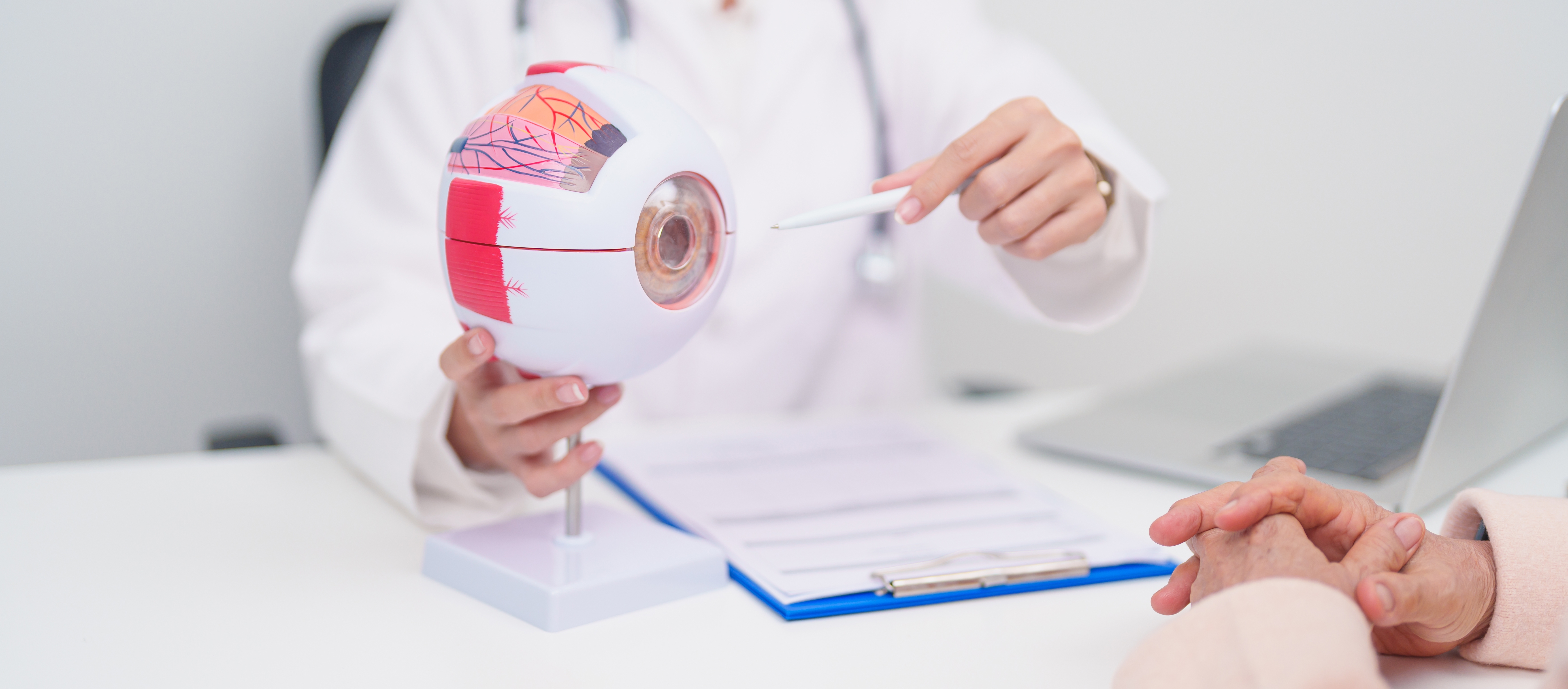 Common Eye Diseases Every Adult Should Know About